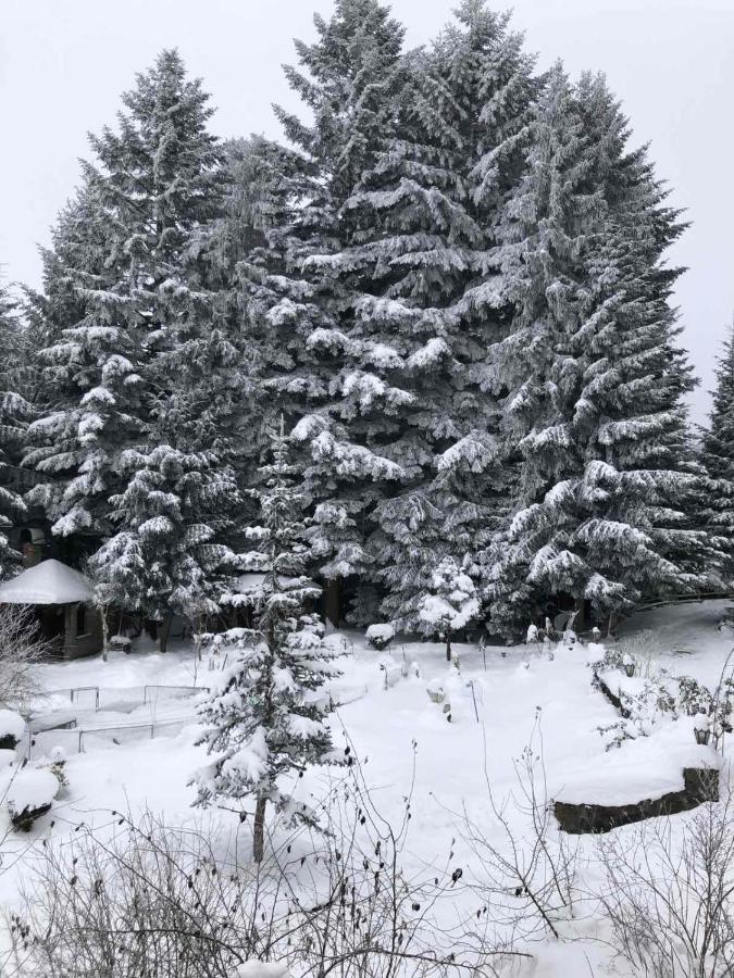 Апартаменти Олівія Skhidnytsia Exteriér fotografie